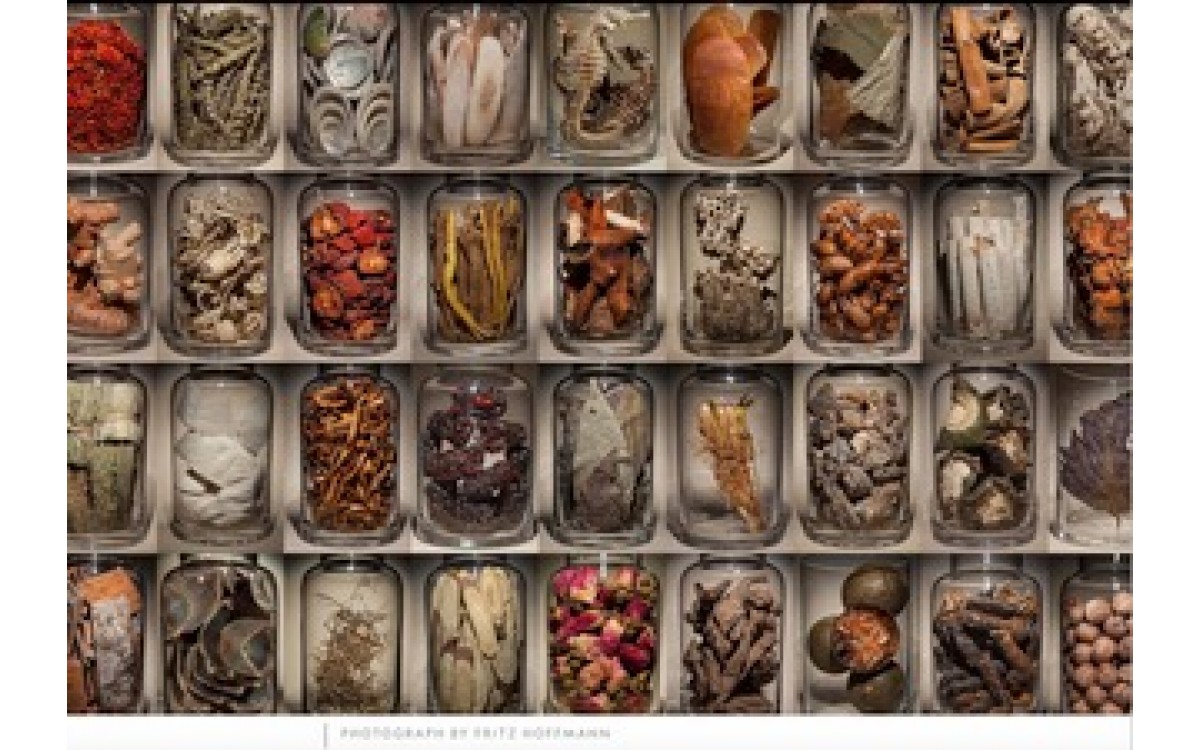 National Geographic's The Future of Medicine Series : Traditional Apothecary